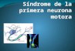 Sindrome motor ( piramidal) y motoneurona inferior