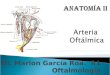 Arteria Oftalmica