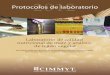 Laboratorio de calidad nutricional de maiz y analisis de tejido vegetal: protocolos de laboratorio 2012
