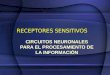 CIRCUITOS NEURONALES PARA EL PROCESAMIENTO DE LA INFORMACIÓN