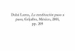 Dalai Lama - La Meditación Paso a Paso (Resumen)