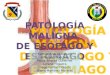patologia maligna esofago