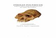 Fosiles Polemicos(Dr Raul O Leguizamon)
