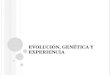 Evolución, genética y experiencia