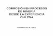 c Corrosion en Procesos de Mineria Experiencia Chilena Fernando Puchi