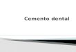 Seminario Numero 2 Bioquimica Cemento Dental