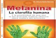 Melanina Clorofila Humana