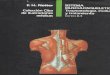 Sistema musculoesqueletico, traumatologìa, evaluacion y tto- F.H. NETTER