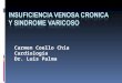 Insuficiencia Venosa Cronica (1)