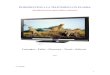 TELEVISION LCD - PLASMA.pdf