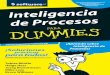 Inteligencia de procesos for dummies