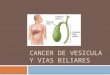 Cancer de Vesicula y Vias Biliares