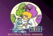 Bacterias, Virus, Hongos, Clasificacion, Toxonomia (1)