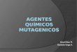 Agentes Quimicos Mutagenicos