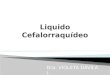 Liquidos LCR.pptx