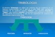 Clase tribología