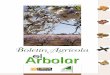 Boletín agrícola el Arbolar nº12