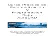 Curso de Personalizaci n y Programaci n en AutoCAD