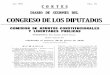 Diario de sesiones del congreso (comisión de asuntos constitucionales y libertades publicas)