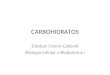 9.+Carbohidratos+ +Bio+Cel+y+Bioq+i.ppt