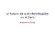 El Futuro de la Biofortificación en el Perú