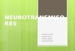 Neurotransmisores y Neuropeptidos
