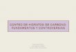 Conteo de Hidratos de Carbono fundamentos y controversias- Ma Isabel Rosón