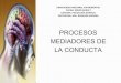 Procesos Mediadores de La Conducta.pptx