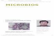 MICROBIOS_ Estafilococo Meticilino Resistente, Un Problema Actual en La Emergencia de Resistencia Entre Los Gram Positivos