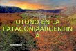 Otono en la_patagonia argentina