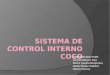 Sistema de control interno coco