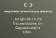 5997861 Presentacion Diagnostico De Necesidades De Capacitacion