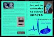 Por qué los animales no sufren infarto y los hombres sí. libro dr. rath