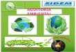 Auditoria ambiental sidem contabilidad