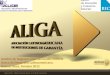 Reunión ALIDE-BICE: Guido Saiegh, Tesorero, Asociación Latinoamericana de Instituciones de Garantía-ALIGA