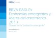 Informe Anual EAGLEs 2013