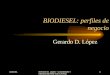 Biodiesel Secyt Gov Ar
