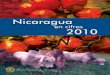 Nicaragua en cifras2010