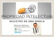 Propiedad Intelectual, Registro de una Marca, Honduras, Marvin Espinal