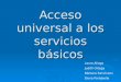 acceso universal a los servicios básicos