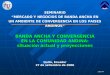 Banda Ancha y Convergencia en la Comunidad Andina: situación actual y proyecciones
