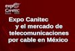 Expo Canitec, El mercado de telecomunicaciones en México