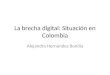 Brecha digital y Colombia. Alejandra Hernandez. Competencias en el uso de la información