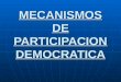 Mecanismos de participacion democratica