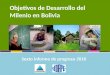 Objetivos de Desarrollo del Milenio en Bolivia