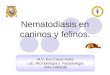Endoparasitos doctora Eva Casas