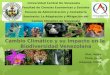 Cambio Climático Afecta la Biodiversidad Venezolana