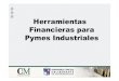 Herramientas financieras para pymes industriales