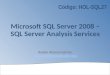 Sql server analysis services 2008