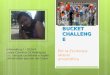 Ice bucket challenge - Una nueva tendencia